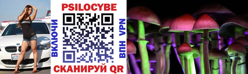 ссылка на мегу сайт  магазин  наркотиков  Пенза  Галлюциногенные грибы Psilocybine cubensis 