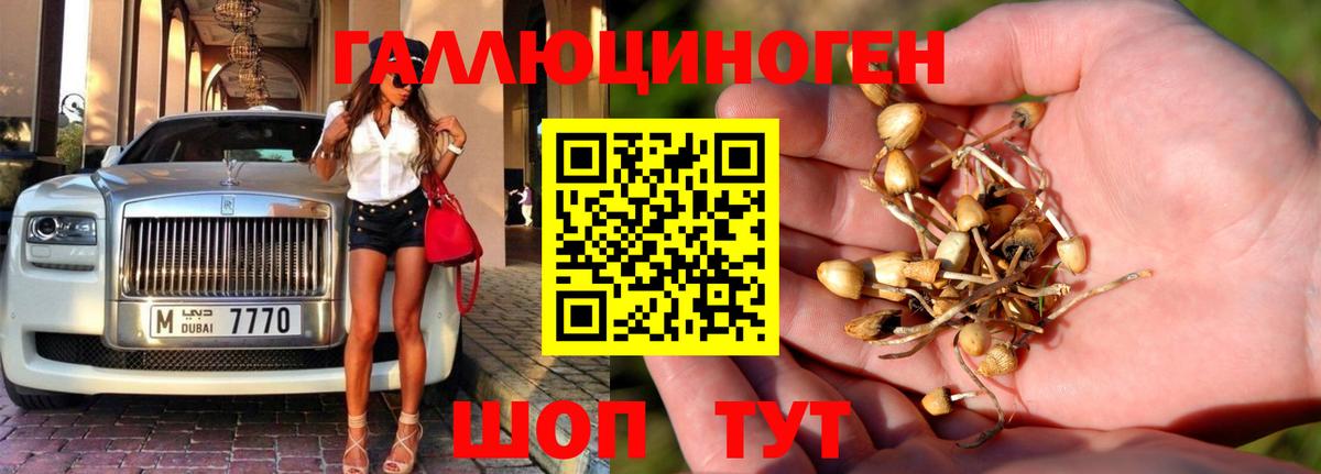 наркота  Вход с VPN  Пенза  Галлюциногенные грибы прущие грибы 