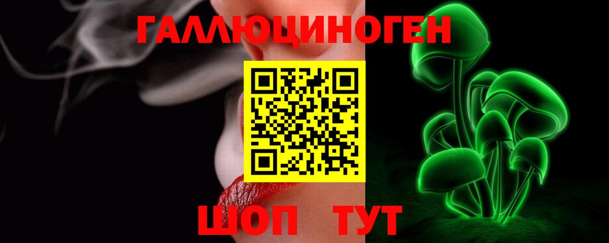 Галлюциногенные грибы Psilocybine cubensis  Пенза 