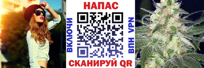 Конопля Amnesia  Пенза 