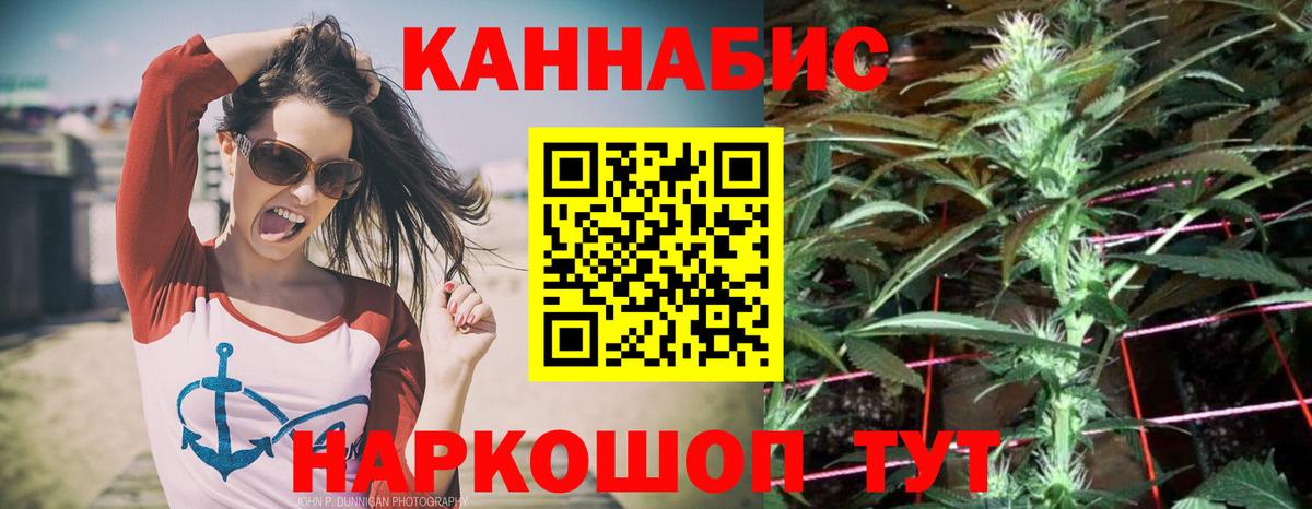 Бошки марихуана OG Kush  Пенза  Конопля план 
